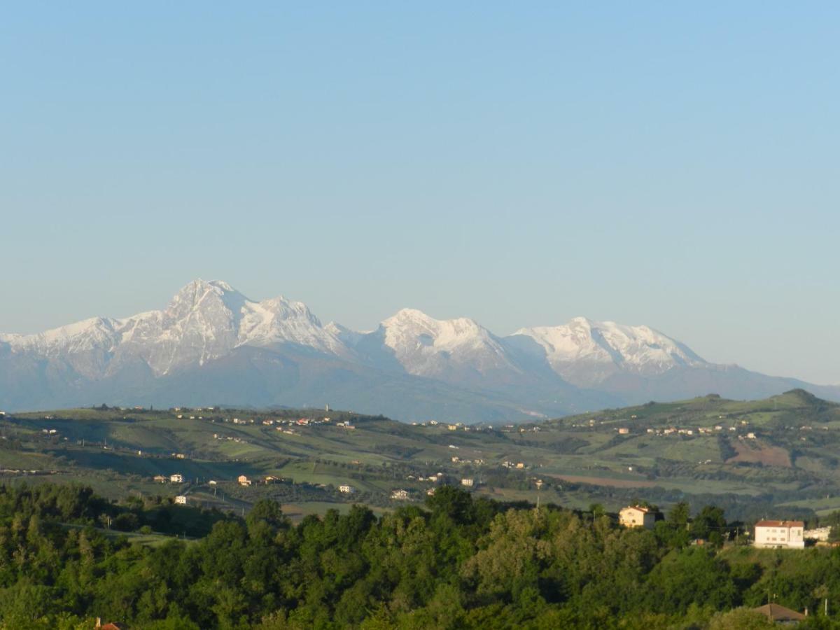 Il Gruccione Bed & Breakfast Sant'Omero Bagian luar foto