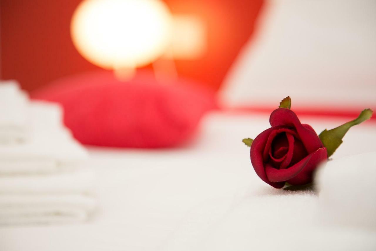 Il Gruccione Bed & Breakfast Sant'Omero Bagian luar foto